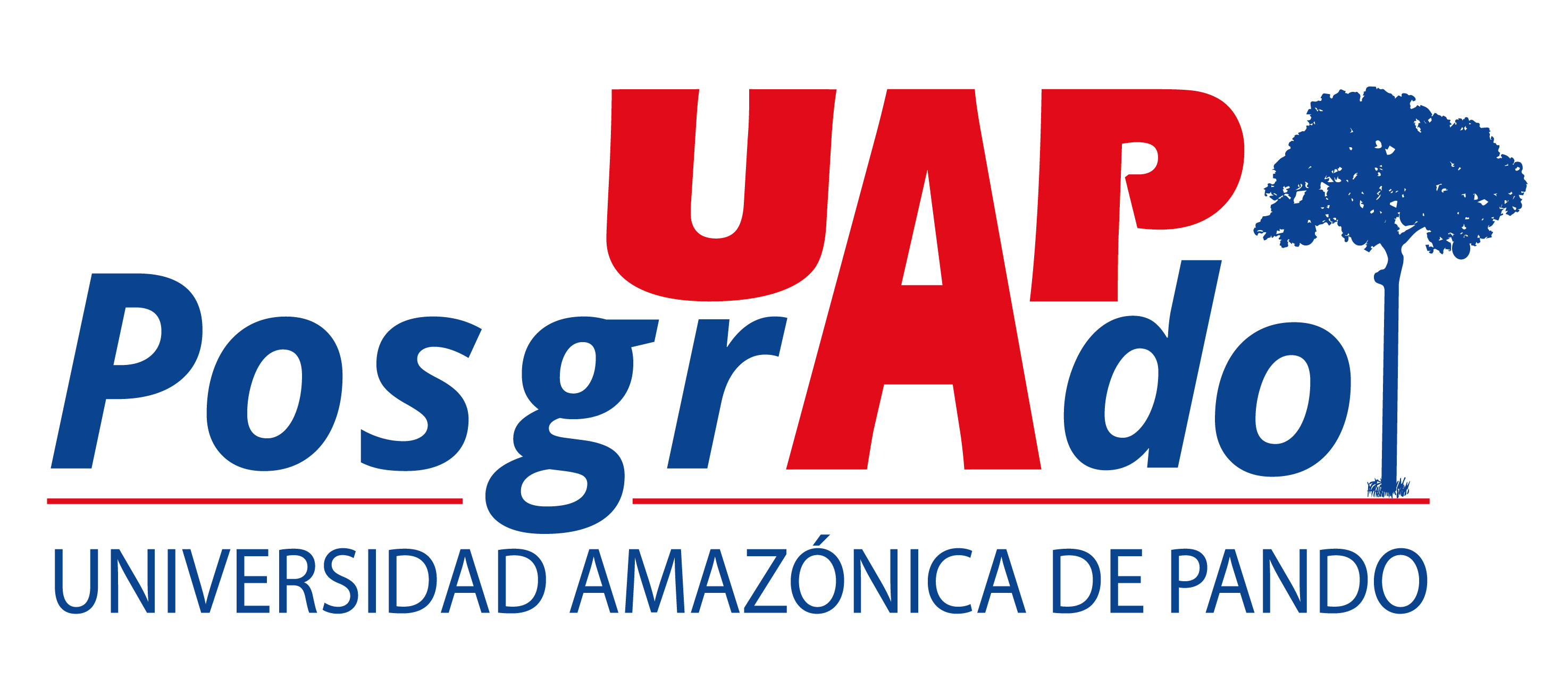 DIGITAL BUSINESS SCHOOL